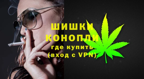 крисы Богданович